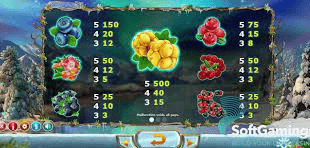 Game slot online Winterberries